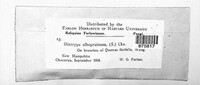 Diatrype albopruinosa image